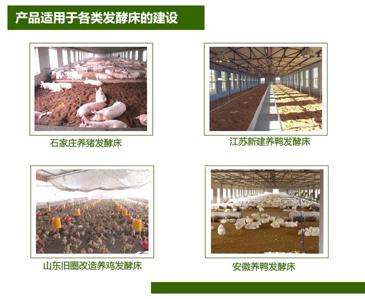 發(fā)酵床養(yǎng)豬與水泥地養(yǎng)豬哪個省工？
