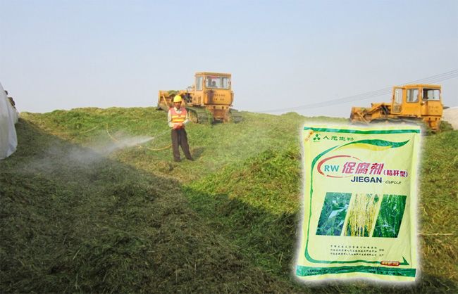 秸稈如何利用最掙錢？