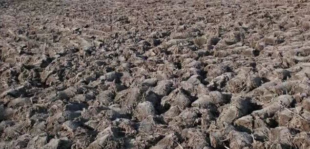 微生物菌劑如何讓土壤恢復(fù)健康！