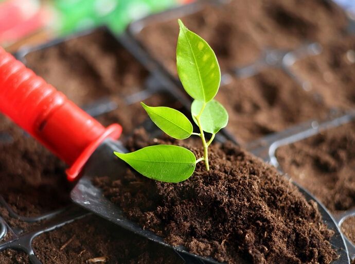 微生物肥料在蔬菜生產(chǎn)中的正確選用丨微生物肥料 微生物肥料在蔬菜生產(chǎn)中的正確選用丨微生物肥料