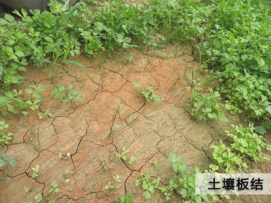 【關(guān)注】農(nóng)業(yè)部為什么大力推廣有機(jī)肥：有機(jī)肥的長(zhǎng)期不足、缺失破壞了土壤結(jié)構(gòu)