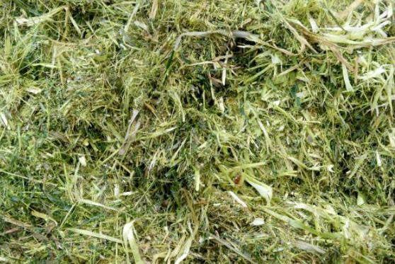 秸稈焚燒的五個(gè)危害與六大好處 秸稈焚燒的五個(gè)危害與六大好處