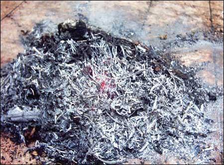 秸稈焚燒的五個(gè)危害與六大好處 秸稈焚燒的五個(gè)危害與六大好處