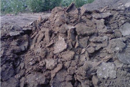 豬糞必須要發(fā)酵腐熟才可以用嗎？