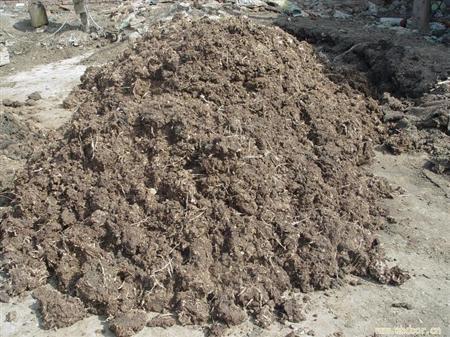 生物有機肥生產工藝技術簡介