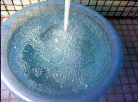 蚜蟲怎么治_蚜蟲的防治方法_13種消滅蚜蟲的好方法 蚜蟲怎么治_蚜蟲的防治方法_13種消滅蚜蟲的好方法