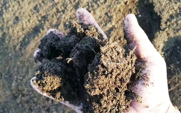 有機(jī)肥和化肥比哪個好？