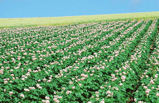 2019年湖北省農(nóng)機購置補貼政策（含有機肥設(shè)備補貼）