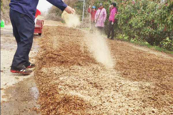 牛糞、污泥有機(jī)肥發(fā)酵劑怎么樣？