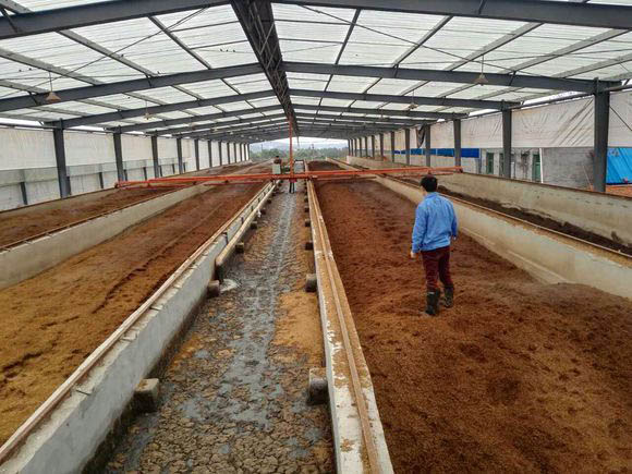 豬糞翻拋機價格多少錢？