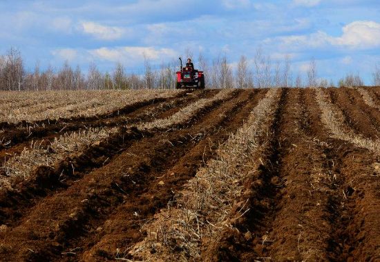 雞糞有機肥使用后有哪些好處？