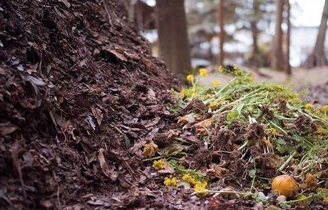 有機(jī)肥是什么肥料，與化肥有什么區(qū)別？