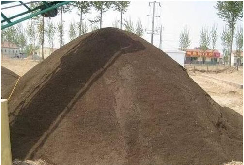 草莓種植施用什么肥料好，如何施肥？