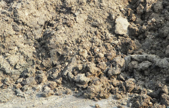 鮮雞糞如何制作生物有機肥？