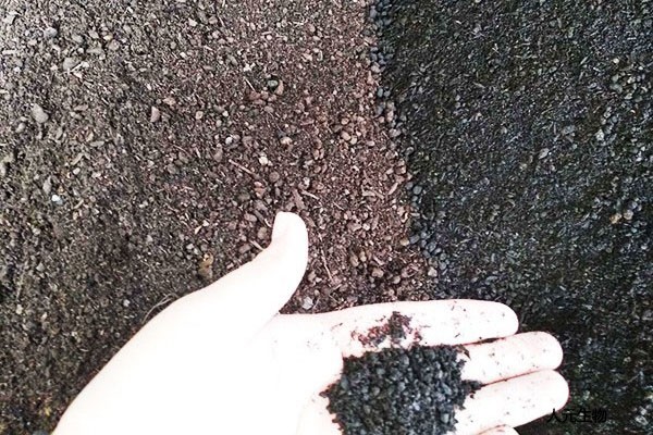 在施用菌肥時有哪些常見的預(yù)防措施？