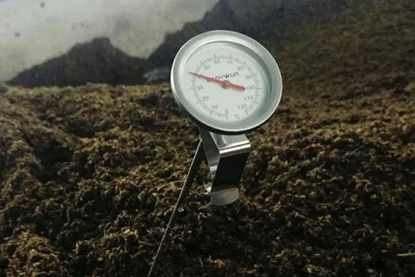 月季到了冬季要不要施肥？