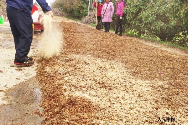 自從有了翻拋機，豬糞有機肥發(fā)酵處理變得簡單起來