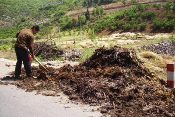 有機(jī)肥發(fā)酵到什么程度算腐熟，評(píng)判的標(biāo)準(zhǔn)又是什么呢？