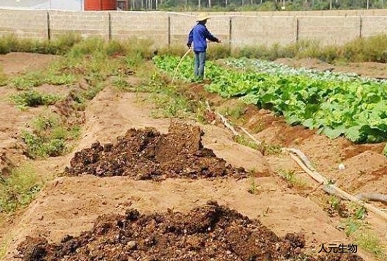 適合制作有機肥的原料有哪些，怎么劃分有機肥原料種類的？