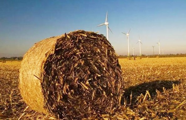 適合制作有機(jī)肥的原料有哪些，怎么劃分有機(jī)肥原料種類的？