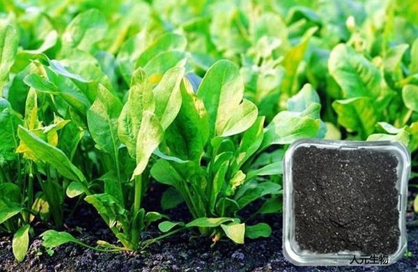 都說生物有機肥價格貴，貴的原因是什么？