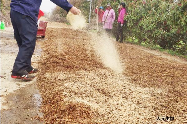雞糞是怎么發(fā)酵的？雞糞有機肥發(fā)酵的具體方法和步驟