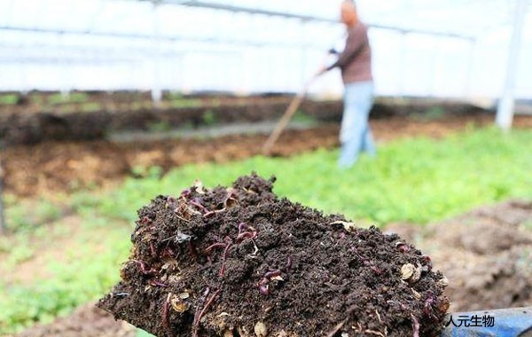 果園有機(jī)肥怎么施用效果才好？