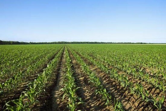 都說有機(jī)肥好，為啥老百姓卻不認(rèn)可呢？