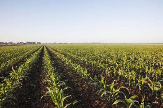 都說(shuō)有機(jī)肥好，為啥老百姓卻不認(rèn)可呢？