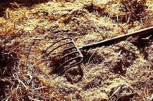 麥稈有機肥怎樣發(fā)酵好？