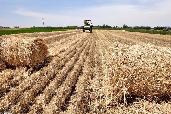 秸稈有機(jī)肥需要怎樣發(fā)酵好？