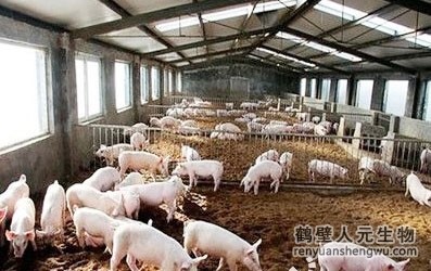 豬糞是如何發(fā)酵成有機肥料的？