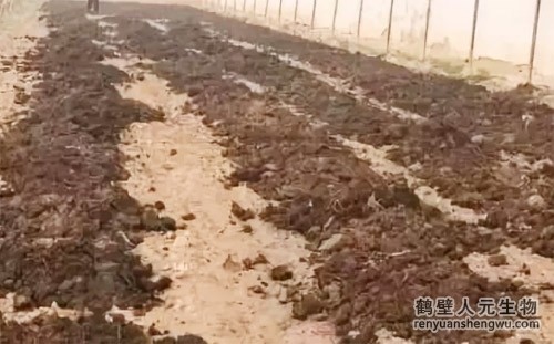 豬糞是如何發(fā)酵成有機肥料的？