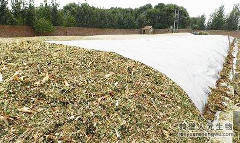 雞糞怎么處理？人元生物來幫忙