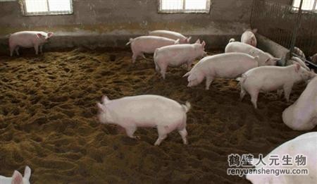 動(dòng)物糞便的成分究竟是什么？