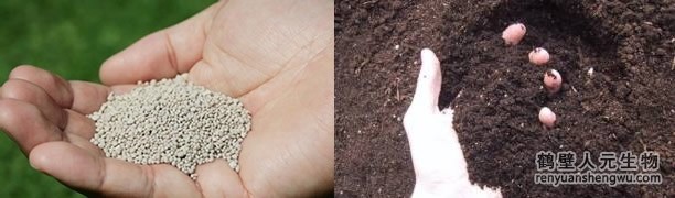 有機(jī)肥和化肥的對比