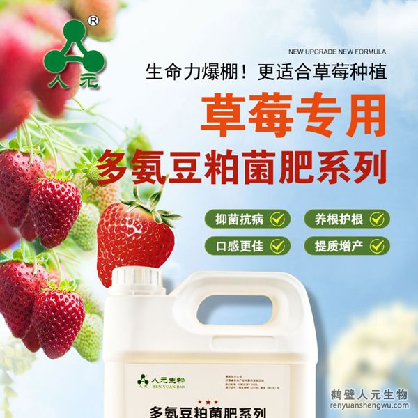多氨豆粕菌肥系列草莓專用肥由河南省微生物菌劑工程技術(shù)研究中心研制，鶴壁市人元生物技術(shù)發(fā)展有限公司生產(chǎn)，本品是以固態(tài)發(fā)酵豆粕為主要原料，豆粕經(jīng)過有益微生物菌種發(fā)酵分解，充分釋放游離氨基酸，同時輔以枯草、地衣、膠凍樣芽孢桿菌等有益菌群。