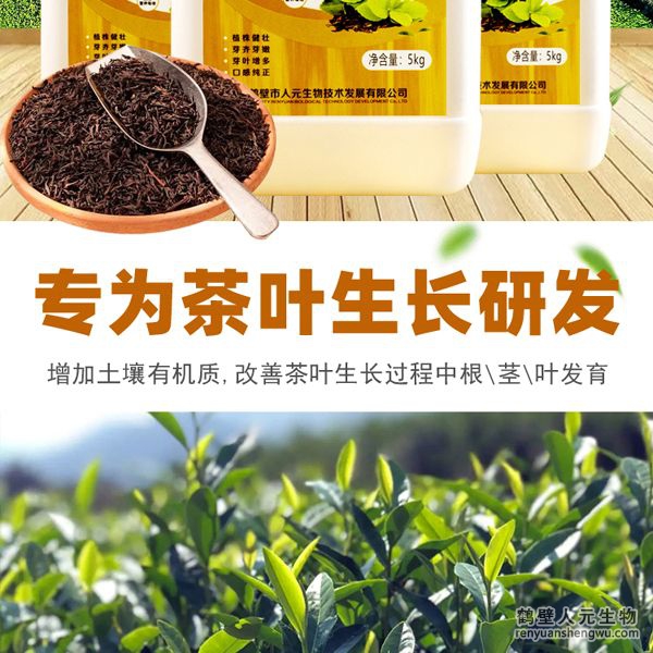 可增加根部須根數(shù)量，提高作物的附著能力；使作物主根粗壯、須根濃密，加速作物對(duì)養(yǎng)分的吸收；富含的有益菌具有固氮、解磷、解鉀功能，有效釋放土壤中的速效養(yǎng)分，提高肥料利用率，增加茶葉產(chǎn)量。