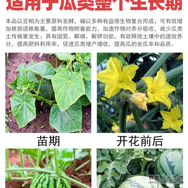 多氨豆粕菌肥系列瓜類專用肥適用范圍：適用于西瓜、甜瓜、哈密瓜等瓜類作物。