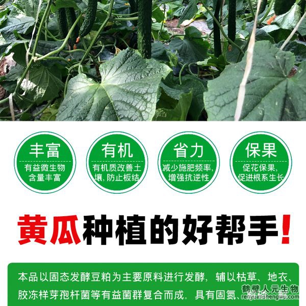 提高肥料利用率，增加黃瓜產(chǎn)量，有助于提高黃瓜坐果率，促進(jìn)黃瓜果實(shí)膨大，提高黃瓜產(chǎn)量，改善黃瓜口感、瓜型、瓜色、色澤、品質(zhì)等。使黃瓜提早上市并延長(zhǎng)采收期，并能提高黃瓜采收后的耐儲(chǔ)存能力，預(yù)防土傳病害，減少病害發(fā)生。