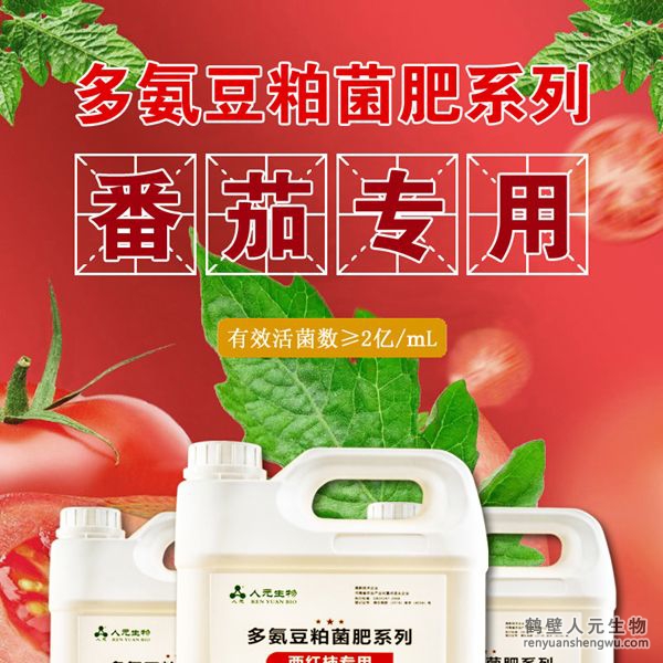 多氨豆粕菌肥系列西紅柿專(zhuān)用肥由河南省微生物菌劑工程技術(shù)研究中心研制，鶴壁市人元生物技術(shù)發(fā)展有限公司生產(chǎn)，本品是以固態(tài)發(fā)酵豆粕為主要原料，豆粕經(jīng)過(guò)有益微生物菌種發(fā)酵分解，充分釋放游離氨基酸，同時(shí)輔以枯草、地衣、膠凍樣芽孢桿菌等有益菌群。