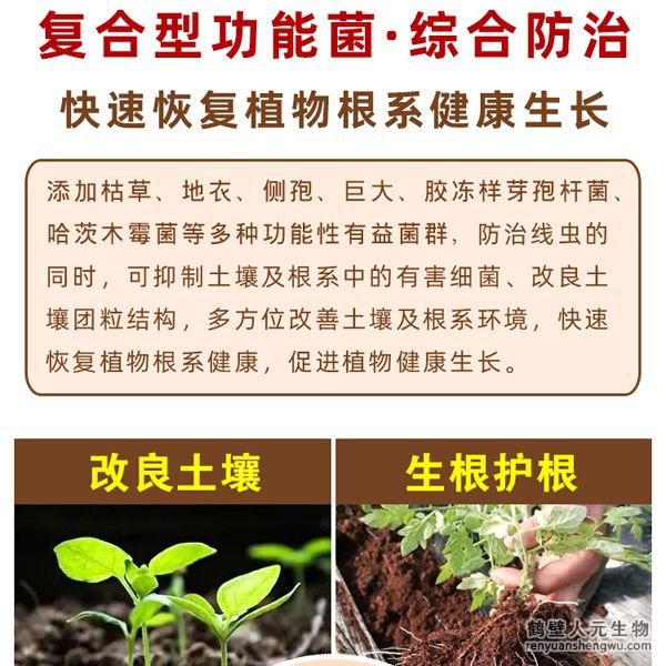 具有固氮、解磷、解鉀功能，轉(zhuǎn)化土壤中作物不能直接利用的氮、磷、鉀元素供作物吸收，同時可分泌大量的植物生長調(diào)節(jié)物質(zhì)。連續(xù)兩年應(yīng)用后，通過調(diào)查對比，產(chǎn)品在加深耕層、提高作物產(chǎn)量、緩解重茬障得方面效果明顯。