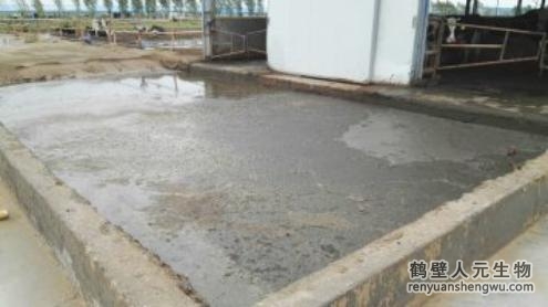 夏季糞水處理  開啟綠色循環(huán)新生態(tài)