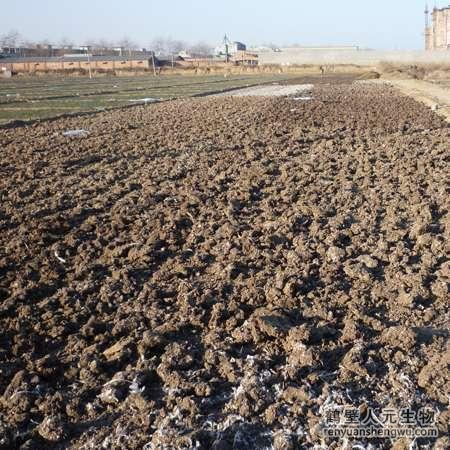 有機(jī)肥發(fā)酵過程中真的是溫度越高越好嗎？